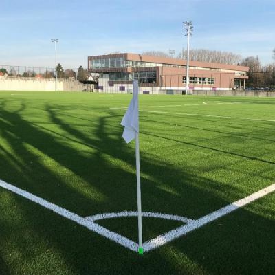 Artificial Grass 1a
