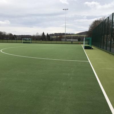 Artificial Grass 3