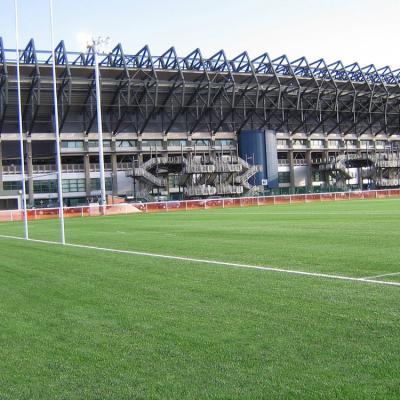 Artificial Grass 4