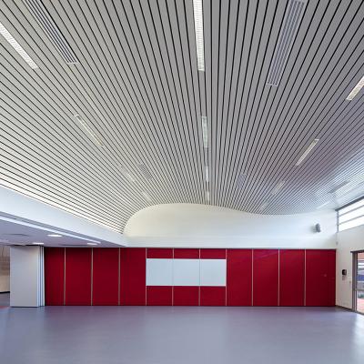 Metal Aluminium Ceilings 3