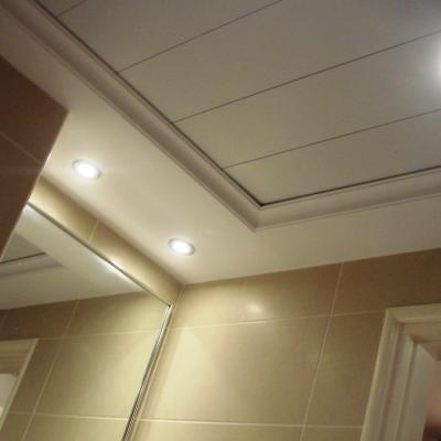 Metal Aluminium Ceilings 5